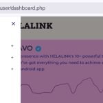 Helalink Agencies – how Helalink works